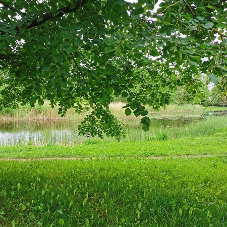 Upes Apartamentai Birzai Bagian luar foto