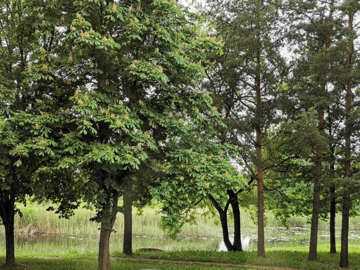 Upes Apartamentai Birzai Bagian luar foto