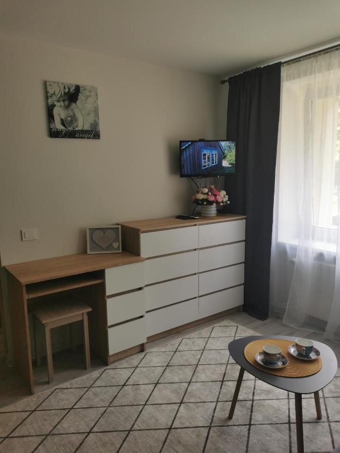 Upes Apartamentai Birzai Bagian luar foto